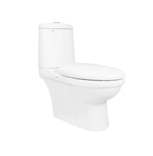 Bàn cầu hai khối VI107
