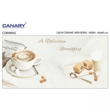 Gạch ốp tường 40×80 TTC Ceramic CDB48002
