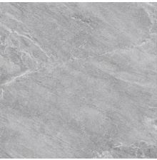 CỬU LONG 6603