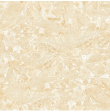 VG6026