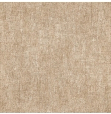 Gạch ốp lát ĐAN VI DAV H04